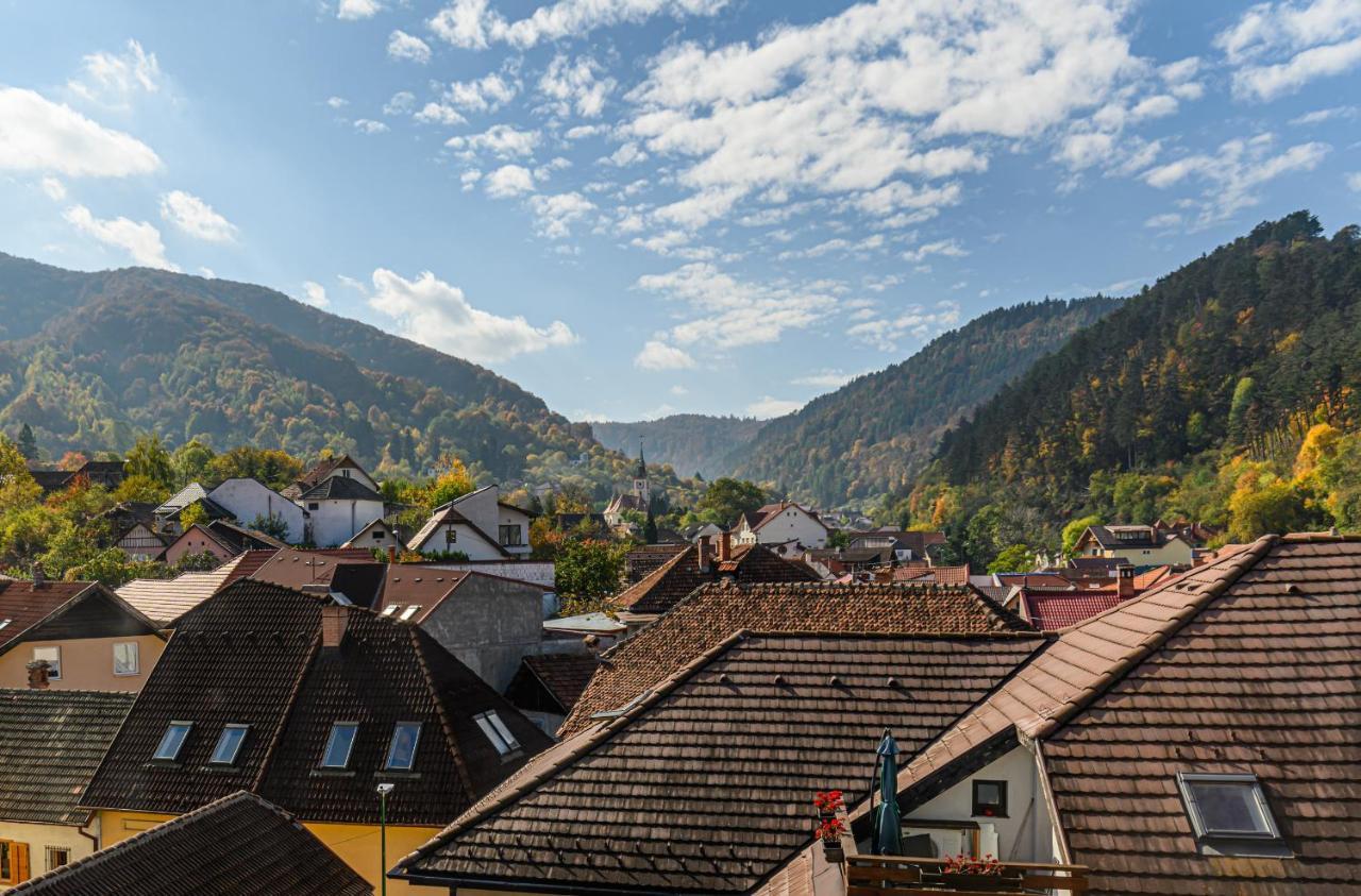 Sun Villas Accommodation Brasov Bagian luar foto