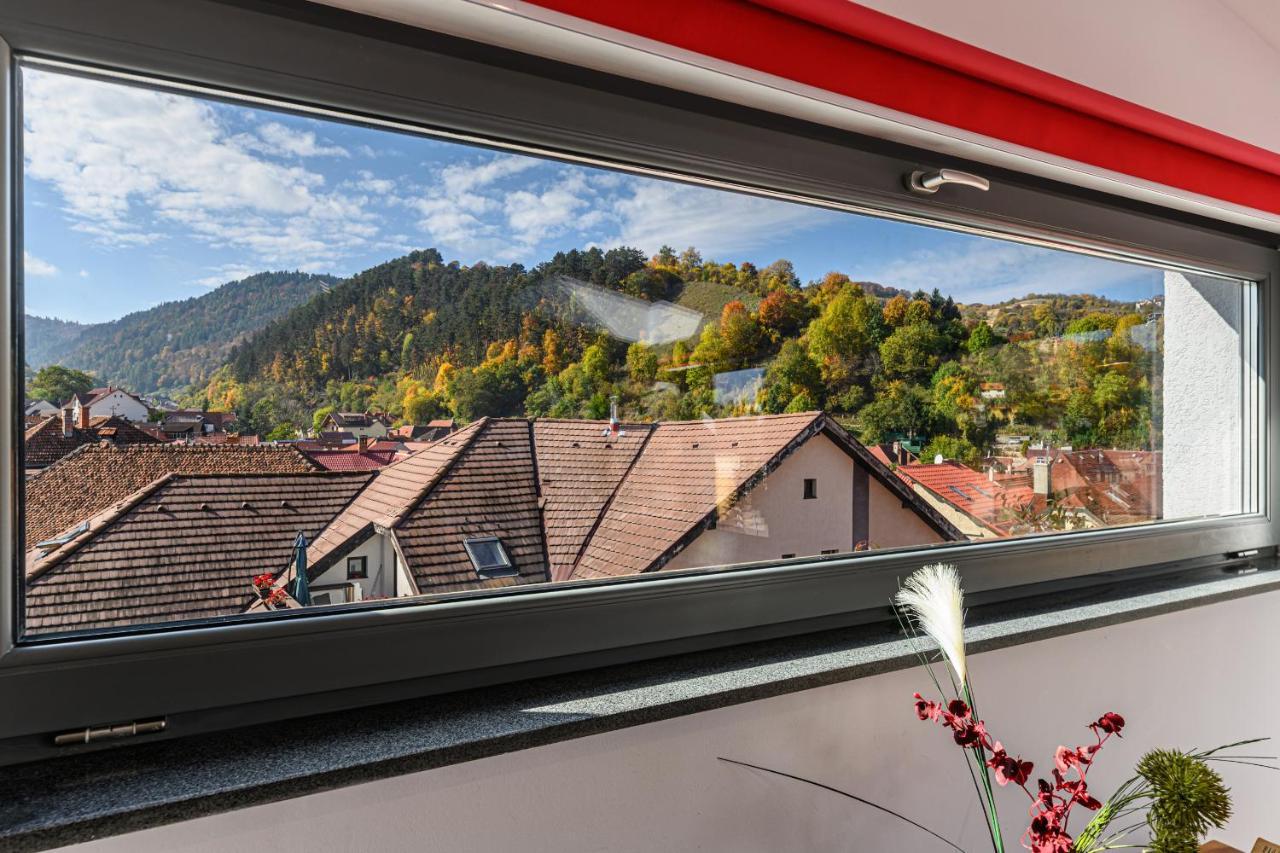 Sun Villas Accommodation Brasov Bagian luar foto